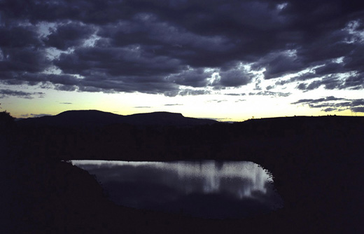 Dreamscape - series ‘The Ephemeral II’