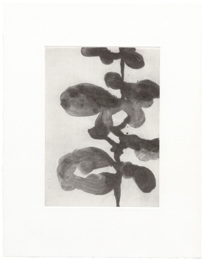 aquatint 1