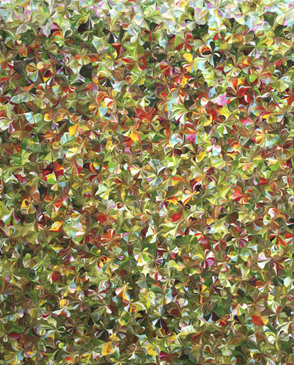 Small Flowers 1313 0713 2019