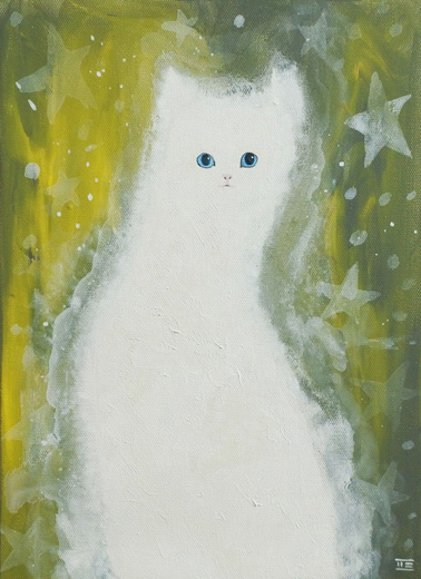 見つめる猫