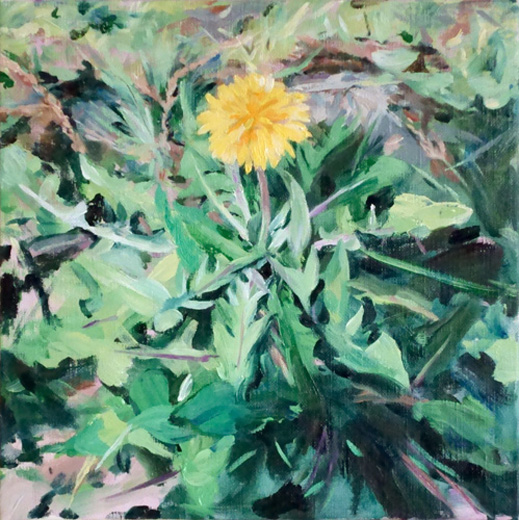 ground -たんぽぽ-