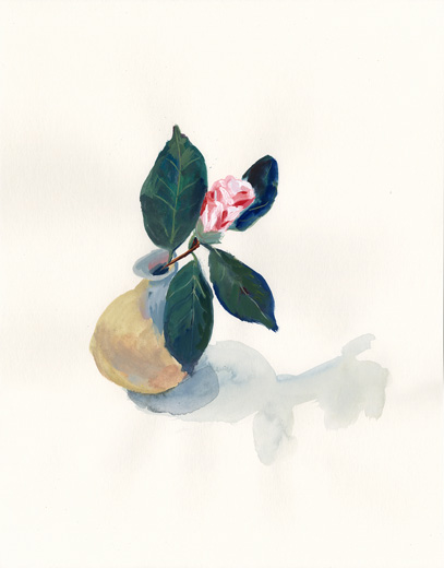 Camellia 2020031401