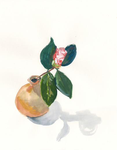 Camellia 2020031402