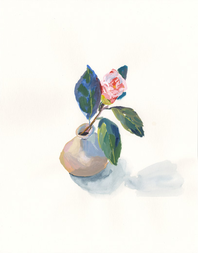 Camellia 2020031501