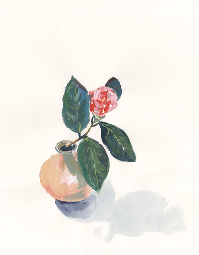 Camellia 2020031502