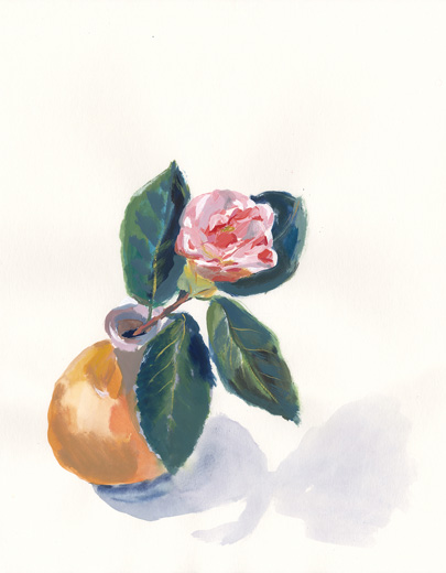 Camellia 2020031601