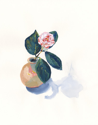 Camellia 2020031701