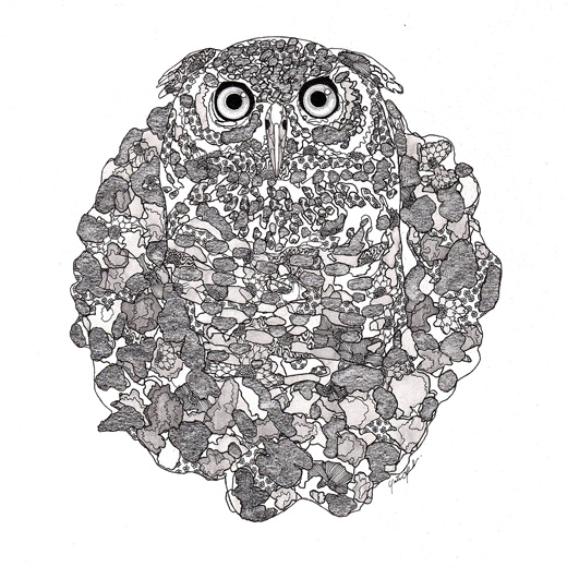 Abstract Owl