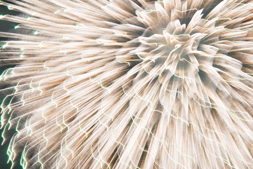 light of (MN-lightof-15-02, 68.6×103cm)