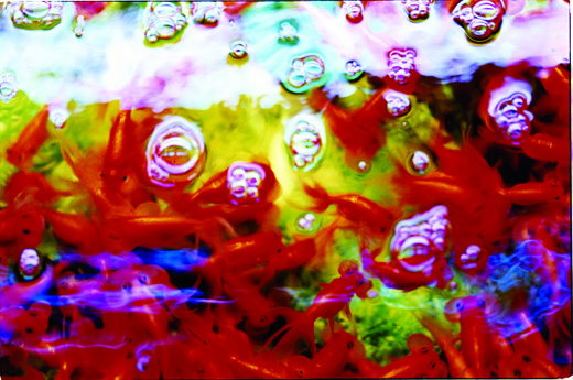 liquid dreams 10 (25.7×36.4cm)