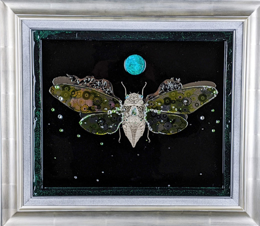 Cicada