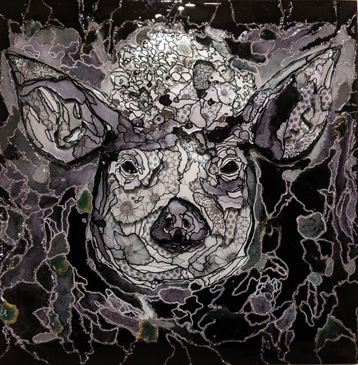 pig