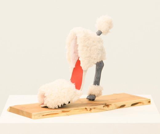 Poodle