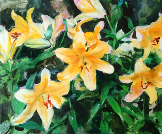 yellow lily