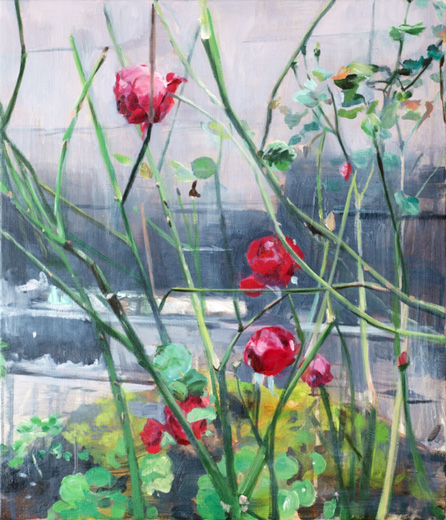 rose in Edinburgh