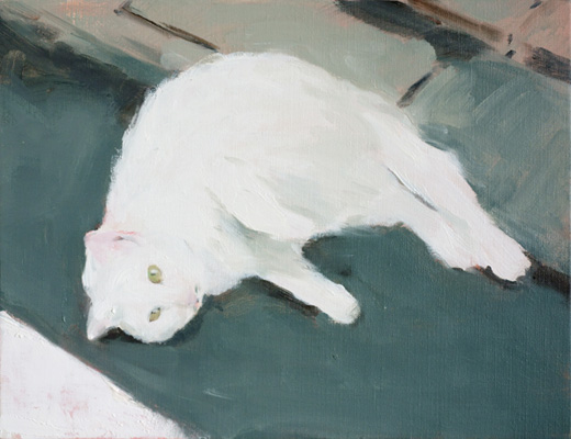 今日の次が明日かどうか -white cat- A