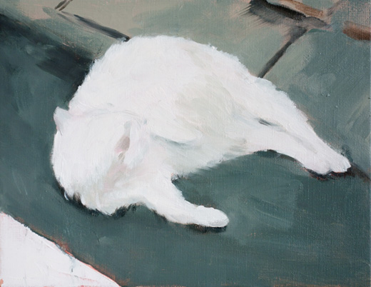 今日の次が明日かどうか -white cat- B