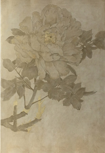 芍薬