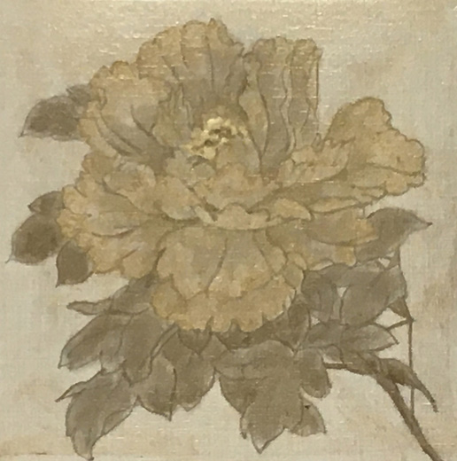 芍薬2