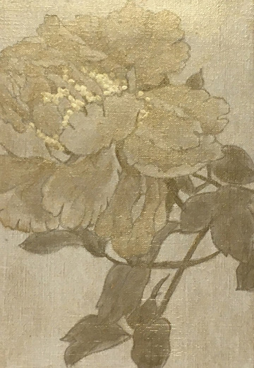 芍薬3