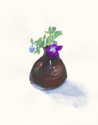 Chinese Bellflower 20201014