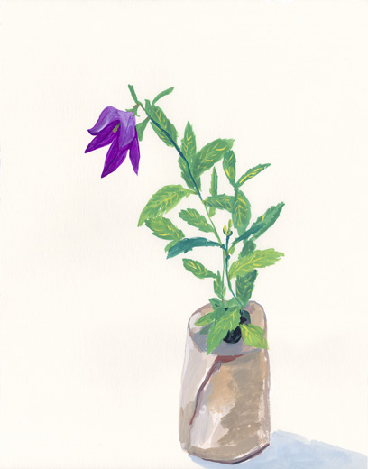 Chinese Bellflower 20201017
