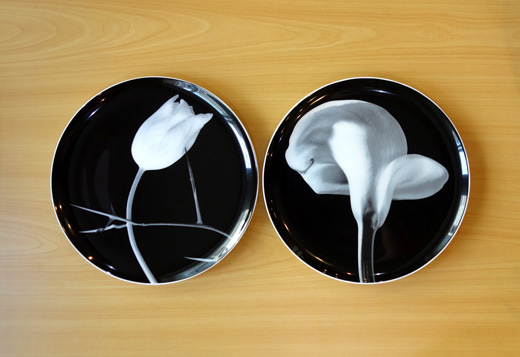 Tulip・Calla lily (2点セット)