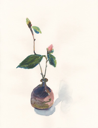 Camellia 20210316