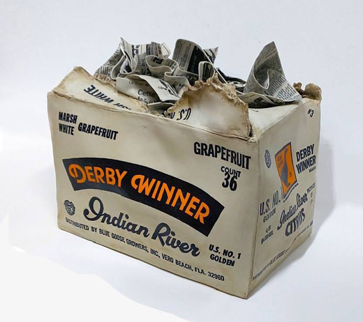 Box Grapefruit 20