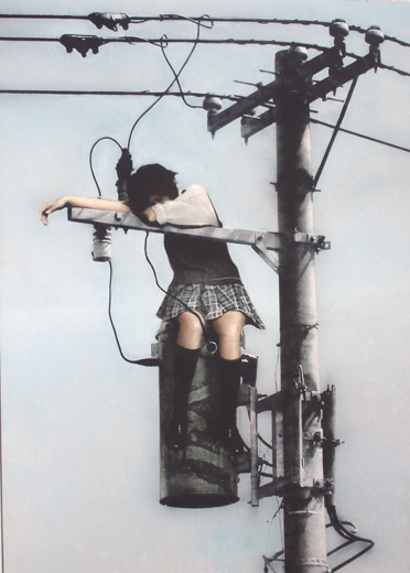 telephone pole I