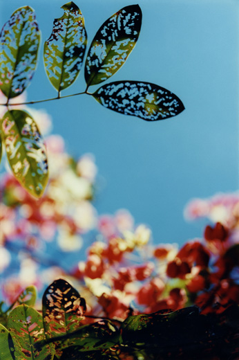 floating yesterday－49（B4サイズ 36.4×25.7ｃｍ）