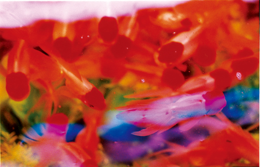 Liquid Dreams－21 （B4サイズ 25.7×36.4cm）