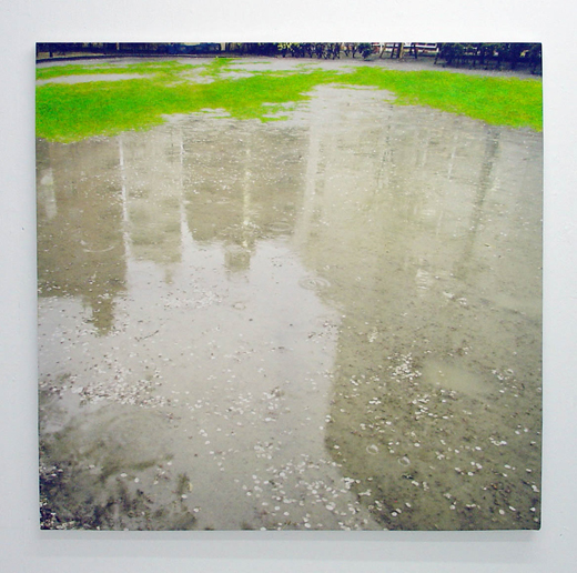 散花の雨 GREEN INVADER no.1